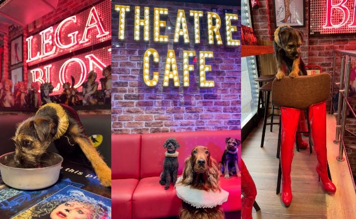 Photo Flash: Globe Dogs Adventure To The Theatre Cafe Diner For World Theatre Day